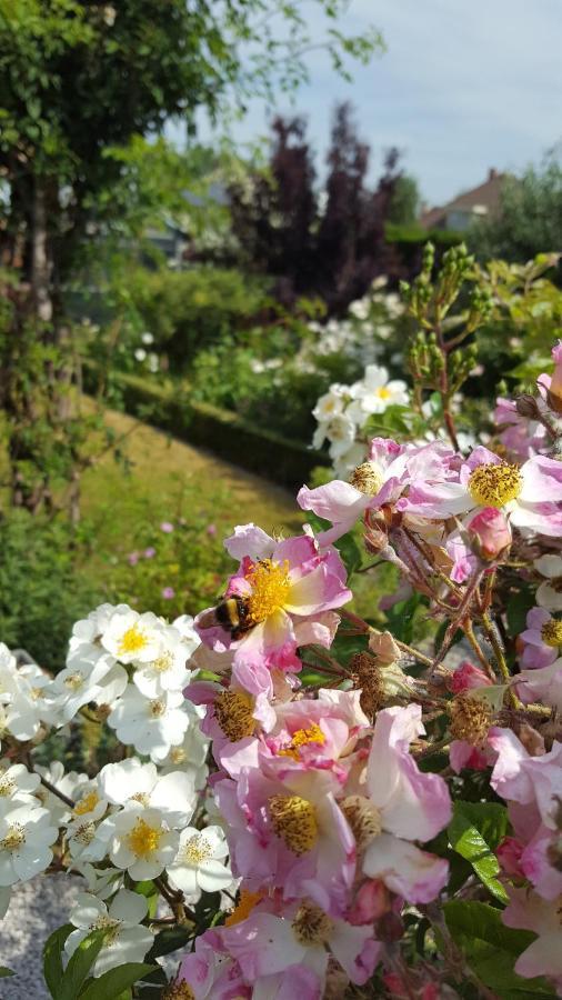 B&B La Cle Du Sud Merelbeke Kültér fotó