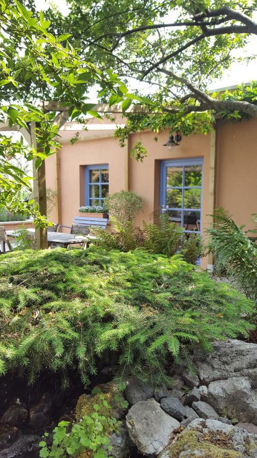 B&B La Cle Du Sud Merelbeke Kültér fotó